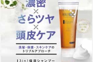 ホロベル シャンプー 悪い口コミ